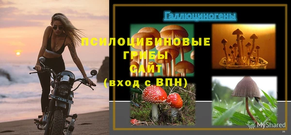 таблы Армянск