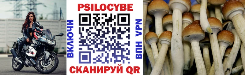 купить наркотики сайты  Лесной  Галлюциногенные грибы мицелий 