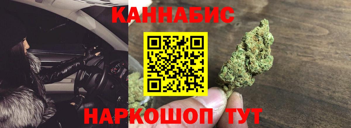 Каннабис OG Kush Лесной